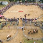 Norfolk Pro Rodeo in 2016