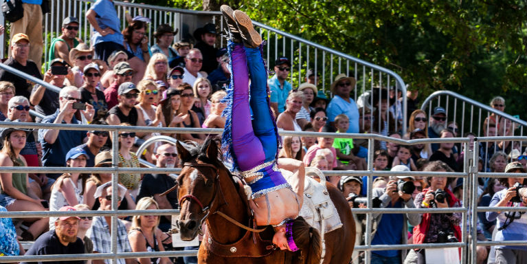 Rider in purple pants performs a handstand on a brown horse while a large crowd watches from bleachers.