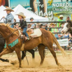 What is your rodeo audience?