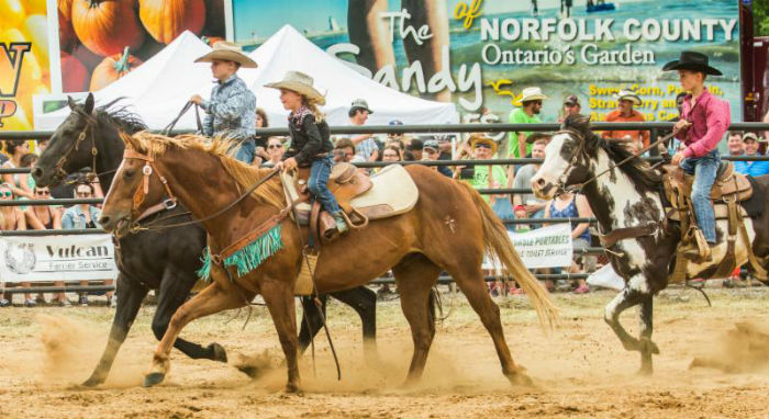 What is your rodeo audience?
