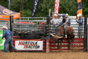 Rider on a brown horse stands in a pen at a dirt arena, with spectators and Norfolk Tractor signage nearby.