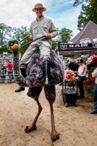 Man in a beige safari outfit and hat rides an ostrich at an outdoor event, with spectators and a RAM tent in the background.