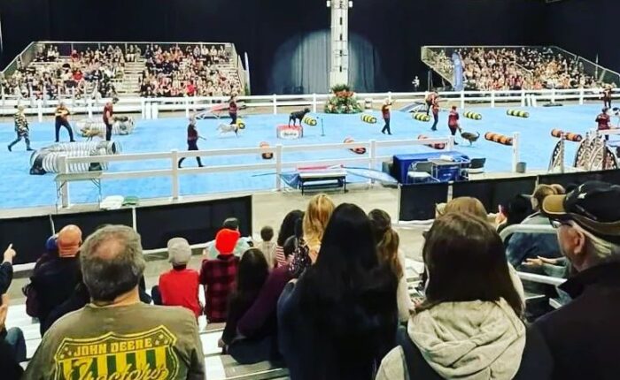 Bleachers at Indoor Event