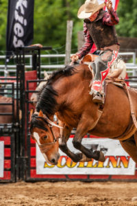 Cowboy rider in a colorful outfit jumping a horse over a fence in a rodeo arena.